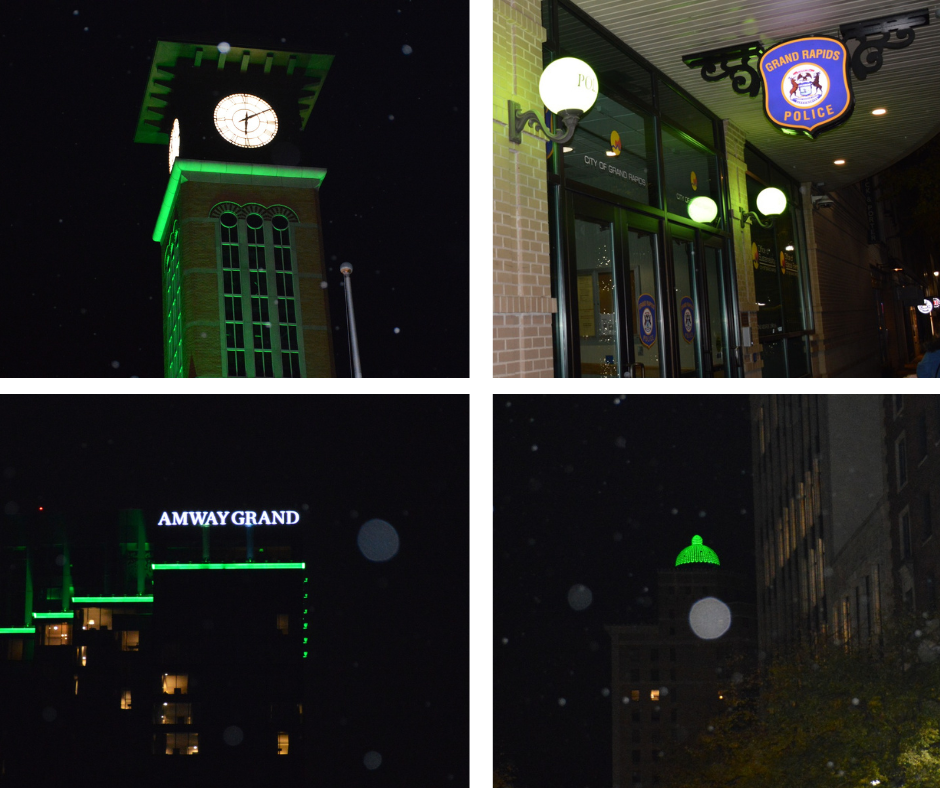 Operation Green Light 2025 Montage