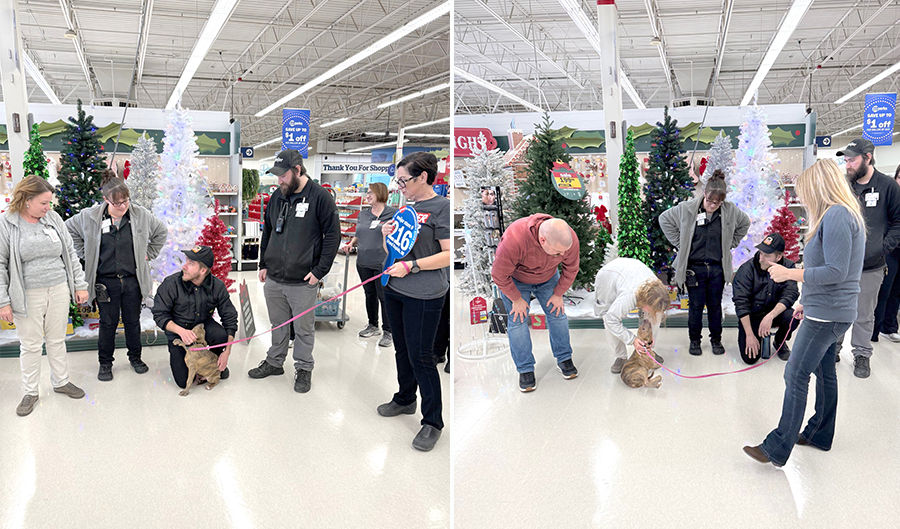 Image of the Standale Meijer staff and Animal Shelter staff with a dog