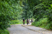 Group of Bicyclists Riding Along a Unique Four Mile Stretch of Road Known as the Indian Mounds Drive Corridor