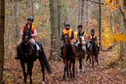 Group of People Horseback Riding Through Cooper Creek and Spencer Forest on a Fall Day