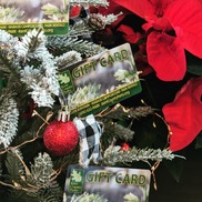 Parks Department Gift Cards Hanging in a Christmas Tree