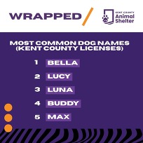 Image of Animal Shelter Wrapped