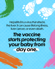 Infographic that Says Hepatitis B is a Virus That Attacked the Liver and Can Cause Lifelong Illness, Liver Cancer, or Even Death
