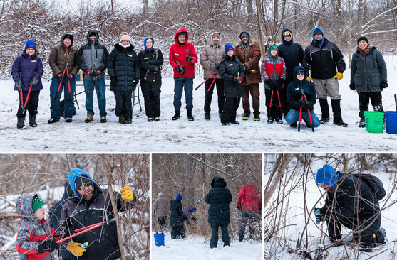 Image collage of parks volunteers