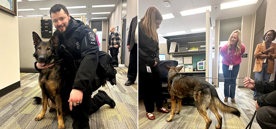 Images of K9 Champ and the staff