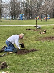 Volunteers Planting Trees at Douglas Walker Park in the Spring of 2025