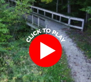 An Image of the Bridge at Lepard Preserve with Text that Says, "Click to Play"