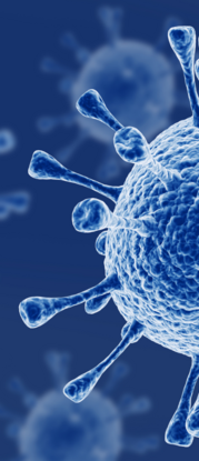 Graphical Representation of the Influenza Virus Against a Navy Blue Background