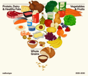 Newly Designed Inverted Food Pyramid Prioritizes Whole, Nutrient-Dense and Minimally Processed Foods