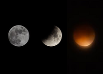 Images of the lunar eclipse