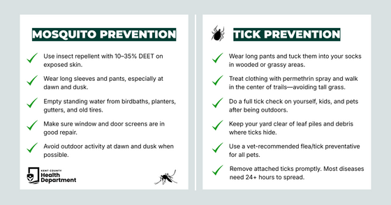 A Graphic Listing Tips for Preventing Mosquito and Tick Bites