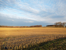 image of the Kruithoff farm