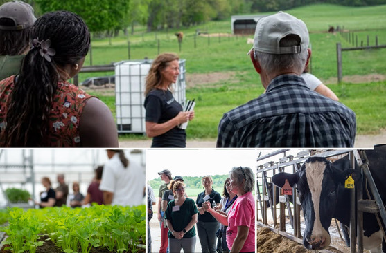 Image collage of the agribusiness tour