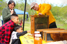 Image of a beekeeper showing kids bees