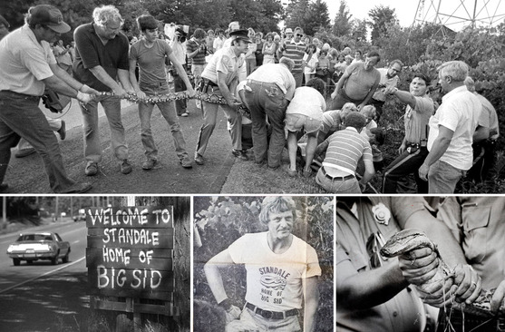 Image collage of the summer of big sid