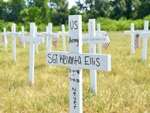 Image of cross markers in a field