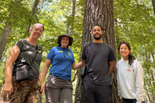 Image of volunteers surround by trees