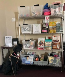 image of a dog in front of a shelf full of dog food