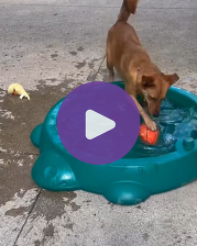 Image of McMurty playing in a kiddie pool