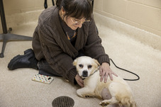 Image of a woman and a dog