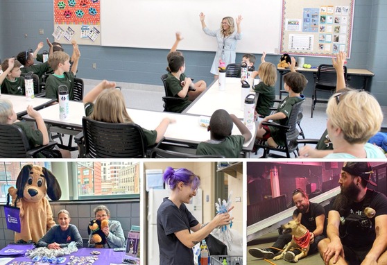 Animal Shelter collage