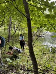 Calvin University Botanist student surveys Pickerel Lake Preserve as part of the Emma Cole Project