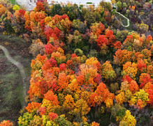 Aerial photo of colorful trees in Kent County