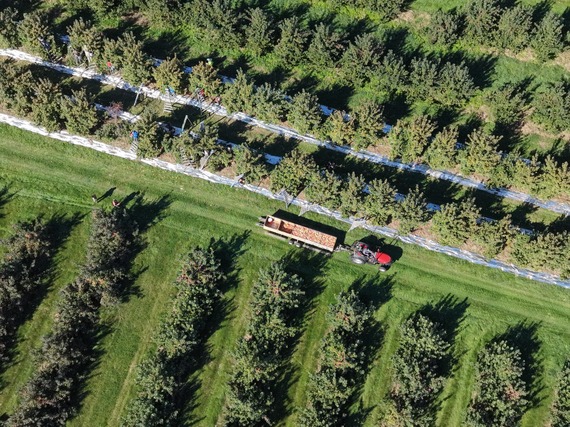 Fruit Ridge Photo