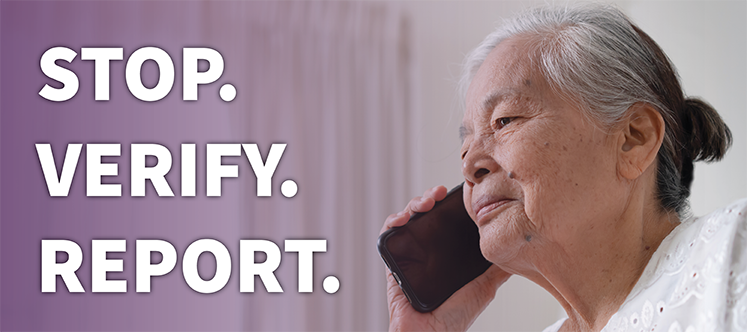 Stop. Verify. Report. Campaign Banner Image.