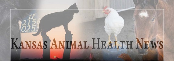 KDAH Newsletter Header