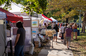 Autumn Harvest Festival 2025