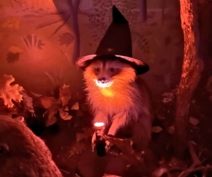 Spooktacular Night at the Nature Center