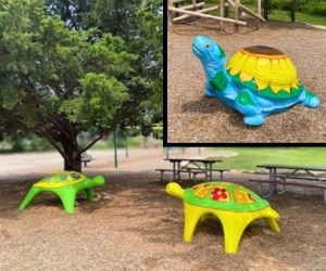 painted concrete turtles at PPNC