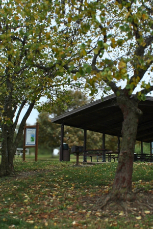 Shelters