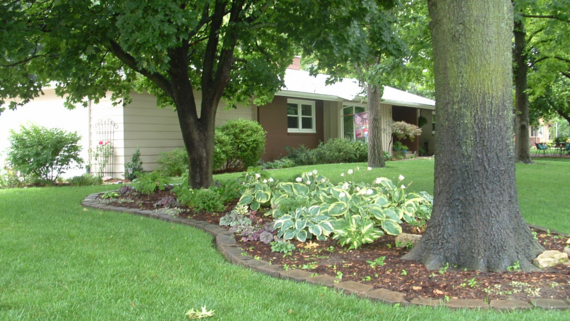 2023 Yard of the Year