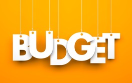 Budget icon