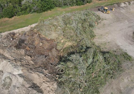 Burn pile full of brush
