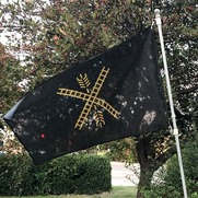 Newton city flag