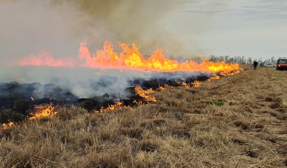 Controlled burn
