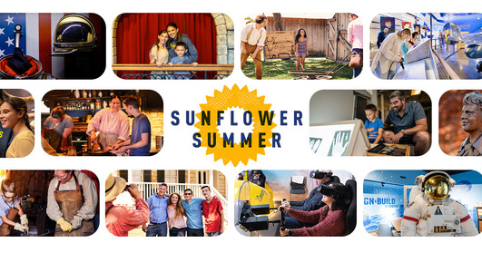 Sunflower Summer