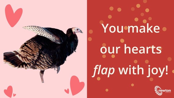 gobble squad valentines