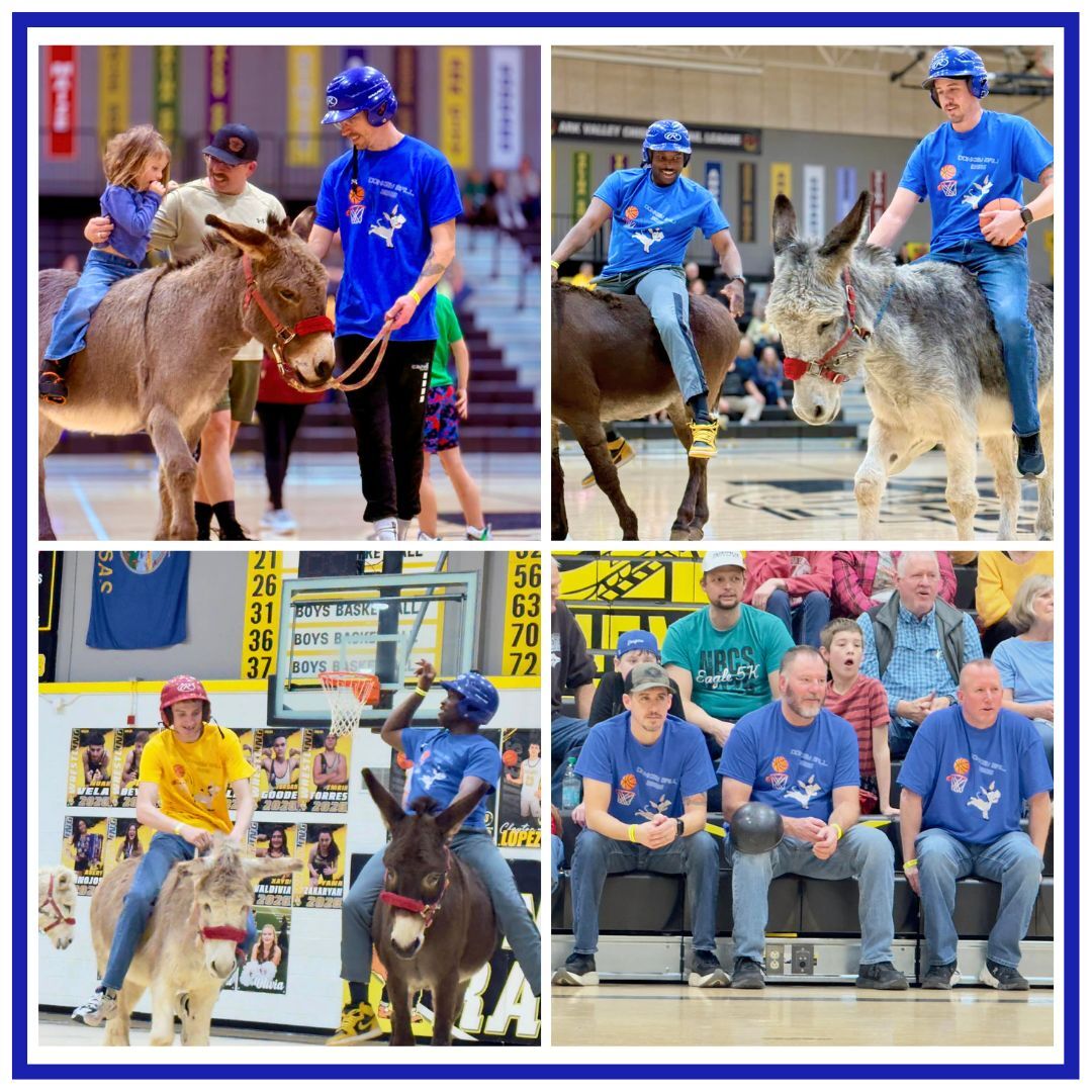 donkey basketball collage