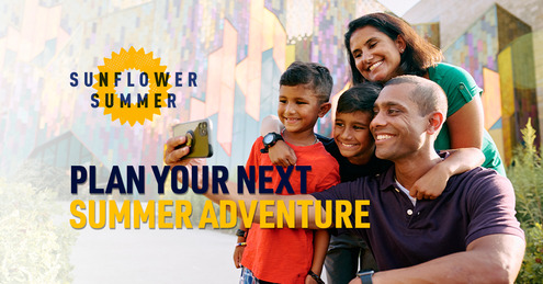 Sunflower Summer