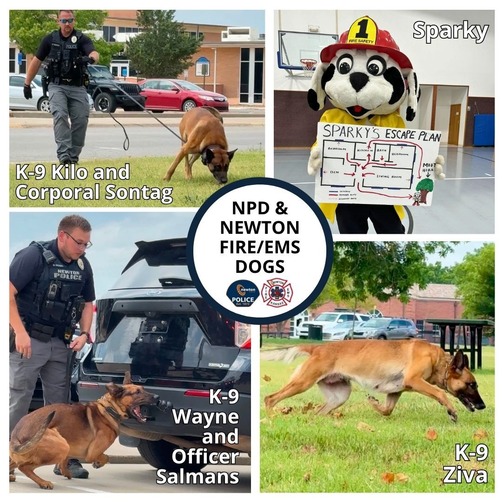 K9 and Sparky post