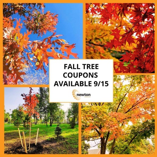 fall tree coupons