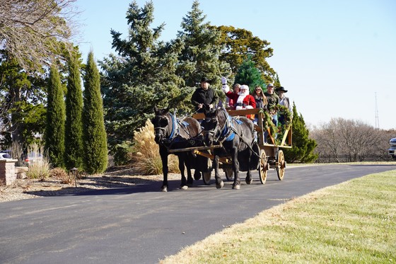 christmas tree delivery