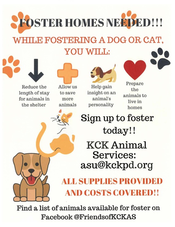 Animal Services--Fostering animals in need