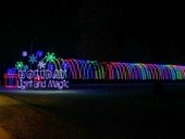 Holiday Light & Magic