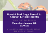 Good and Bad Bugs in Kansas
