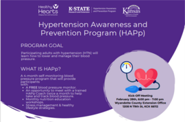 Hypertension Awareness and Prevention Program